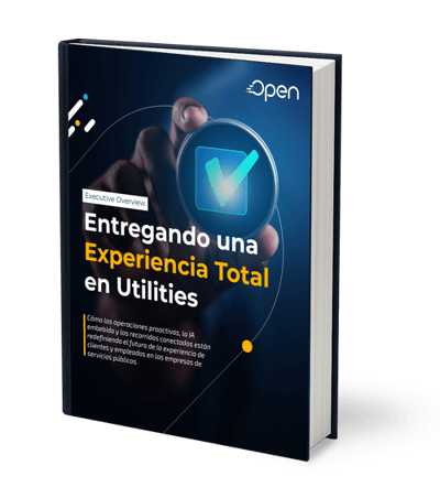 Entregando una Experiencia Total en Utilities