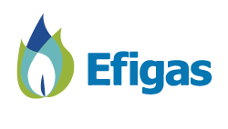 Efigas y su sistema de información de clientes, Smartflex.